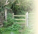 bleadon.org.uk Home Page