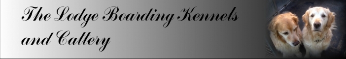 thelodgeboardingkennels.co.uk Home Page