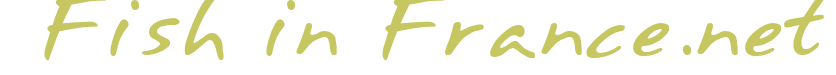 fishinfrance.net Home Page